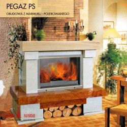 Obudowa "PEGAZ" PS